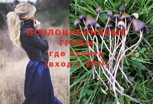 винт Новозыбков