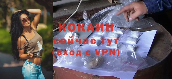 винт Новозыбков
