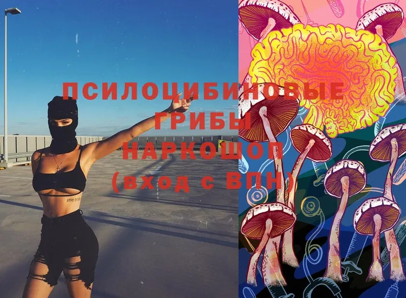 Псилоцибиновые грибы Magic Shrooms  Курск 