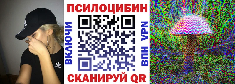 Псилоцибиновые грибы Cubensis  Курск 